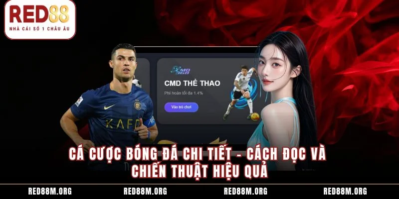 Cá Cược Bóng Đá