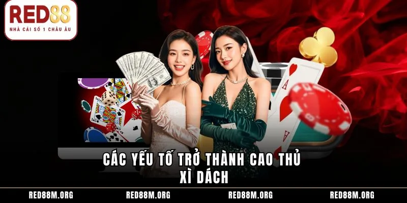 Các yếu tố trở thành cao thủ xì dách