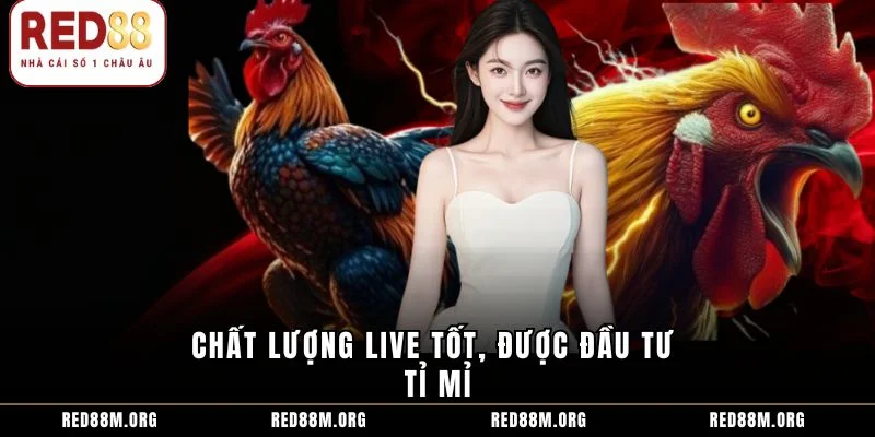 Chất lượng live tốt, được đầu tư tỉ mỉ