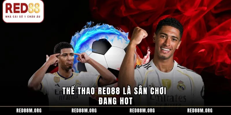 Thể thao Red88 là sân chơi đang hot