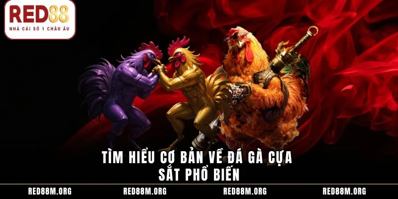 Tìm hiểu cơ bản về đá gà cựa sắt phổ biến