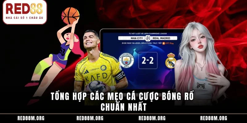 Tổng hợp các mẹo cá cược bóng rổ chuẩn nhất