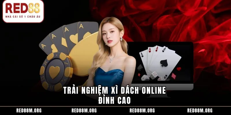 Trải nghiệm xì dách online đỉnh cao